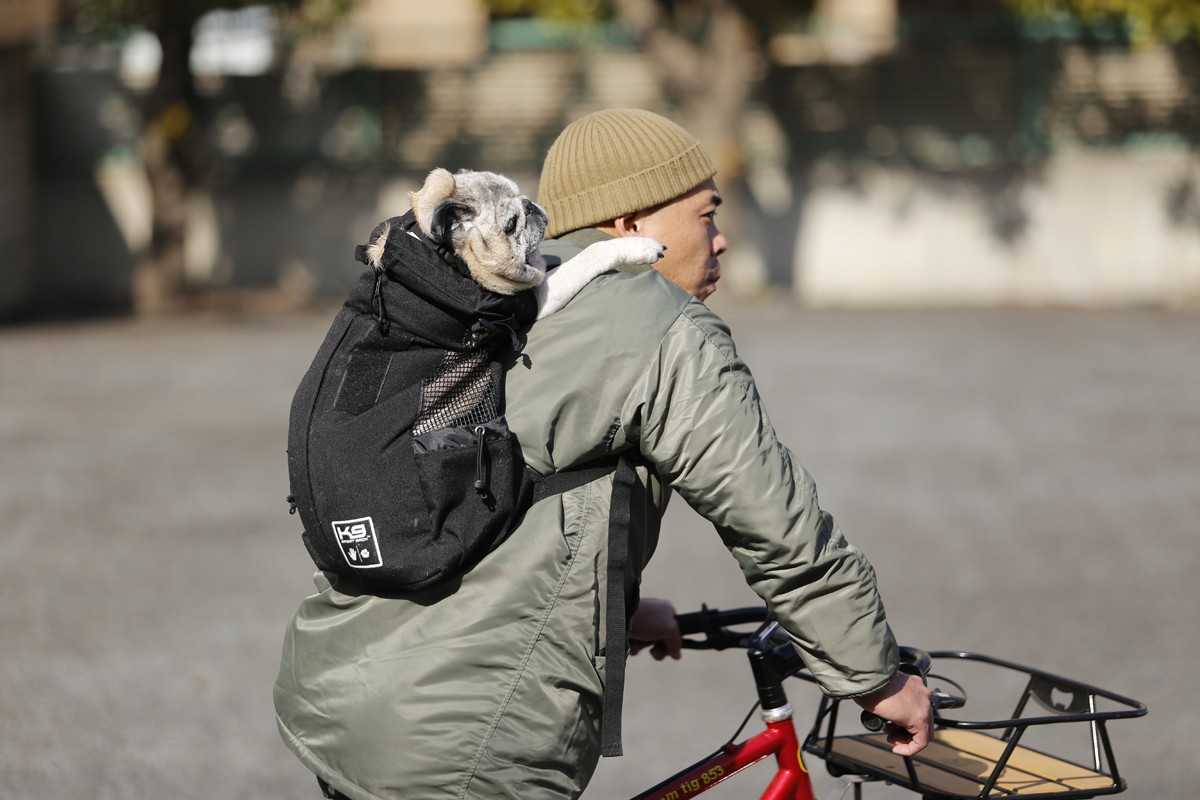 外遊びに愛犬と連れていこう 犬に優しいバックパックでずっと一緒に楽しもう Dig It ディグ イット