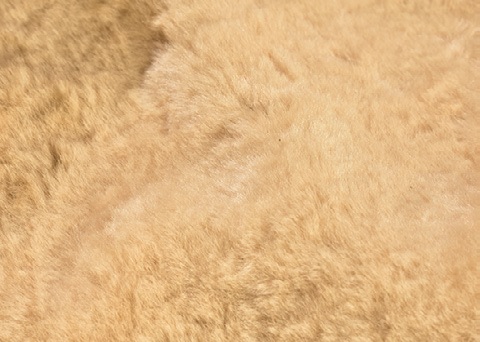 B-3を代表とする、極寒地仕様のミリタリー“羊革”ジャケットってどんなジャケット？ 中田商店「モーガン メンフィスベル」で探る！ | Dig