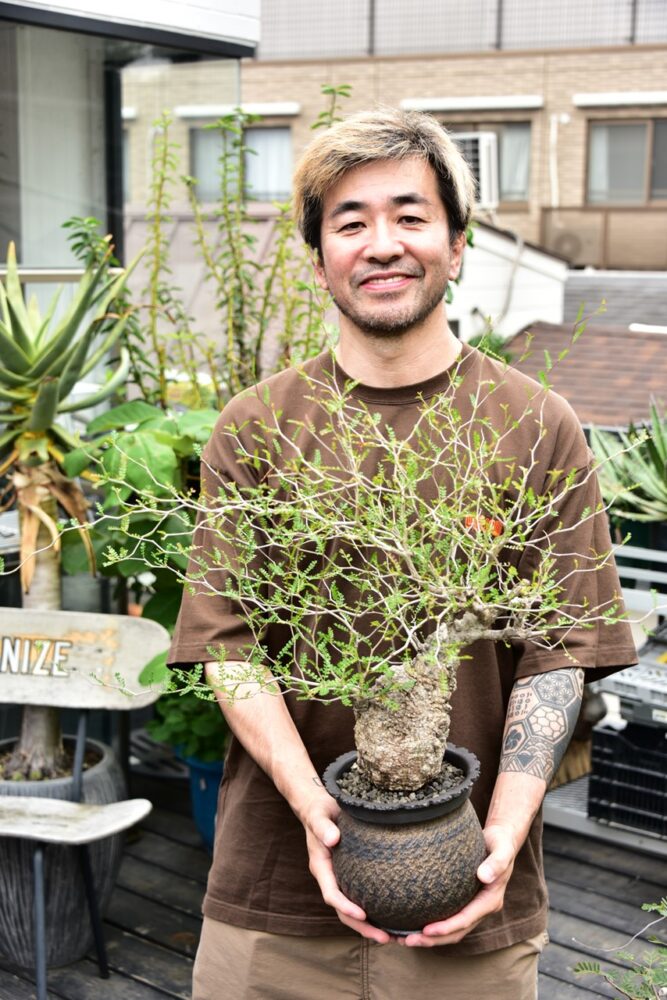 未使用】GOUJIN POT 豪人鉢 botanize 塊根植物 チタノタ グラキリス ...