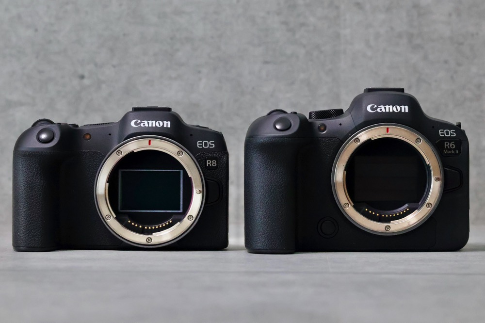 Canon EOS R8 箱のみ