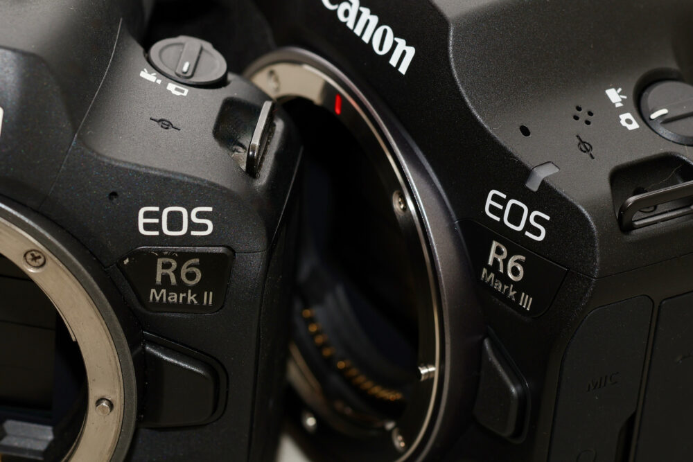 EOS R6 Mark III、気になる新型の貸出機をユーザー目線でチェックする