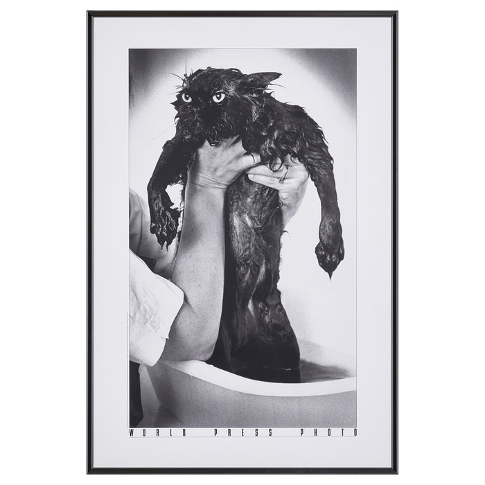 【限定20枚】A Drowned Cat 1982 - World Press Photo 1982 / ジム・マクラガン